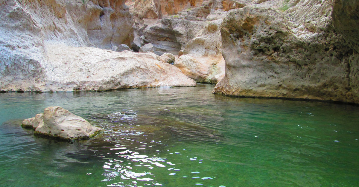 wadishab.jpg